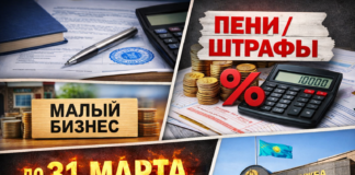 О списании пеней и штрафов субъектам микро и малого предпринимательства